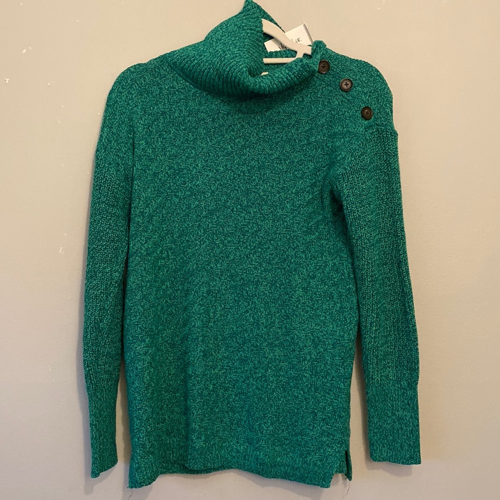 GREEN SWEATER with turtle neck